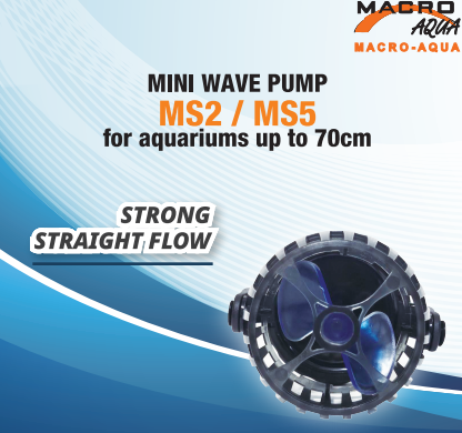 Mini Wave Pump MS2 / MS5 (USB)